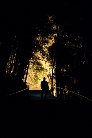 a night in a wood with a silhouette of a manの写真素材