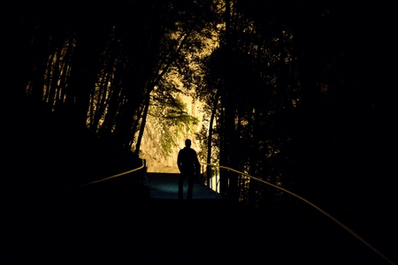 a night in a wood with a silhouette of a manの写真素材