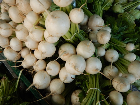 fresh white onion with green leaves at the marketの写真素材
