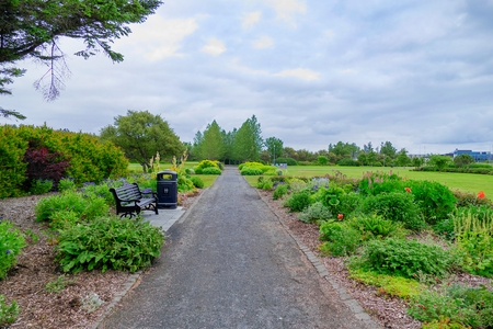 park wit blooming flowers in reakjavik in icelandのeditorial素材