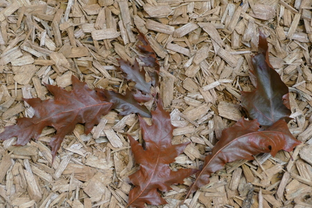 a beautiful creative decoration made of natural materials