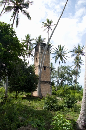 abandoned ruin of war bunker in the jungle of zanzibarの写真素材