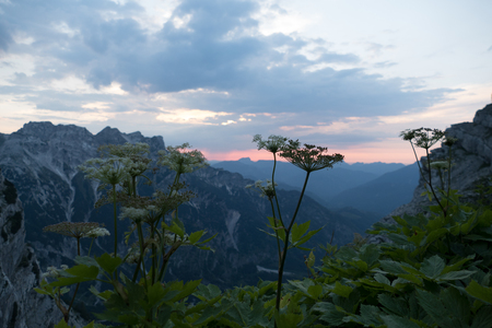 a pure colorful romantic sunset in mountains in the alpsの写真素材