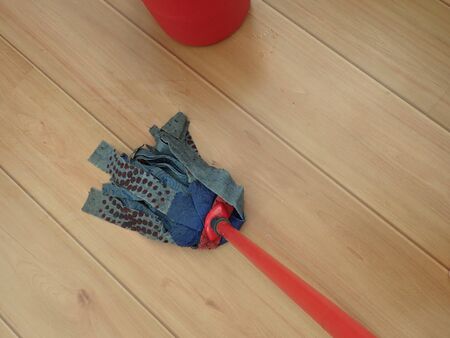 household  cleaning a wooden floor with a mop