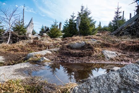 beautiful mountain ridge sumava on czech border in spring