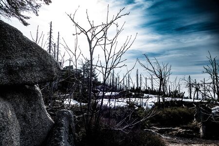 beautiful mountain ridge sumava on czech border in springの写真素材