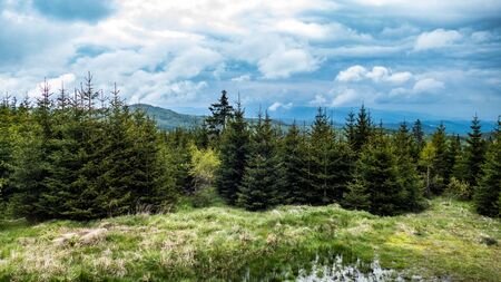beautiful green natural landscape in sumava national park i czechiaの写真素材