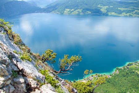 beautiful summer nature in austrian alps in salzkammergutの写真素材