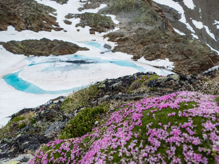 amazing beautiful summer scenery in otztal alps in austriaの写真素材