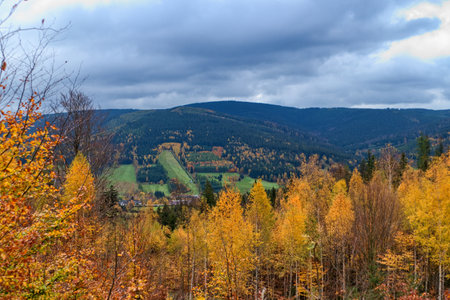 beautiful colofrul autumn nature in a czech countryside landscape and forestの写真素材