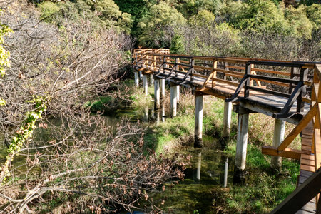 beautiful natural Krka river stream national park in croatiaの写真素材
