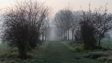 misty morning in a Czech countryside landscape in autumnの写真素材