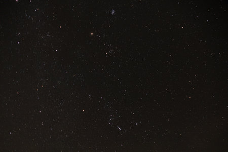 beautiful starry sky on a seaside coast