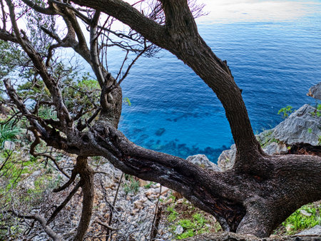 beautiful seaside nature in Sardinia island Italyの写真素材