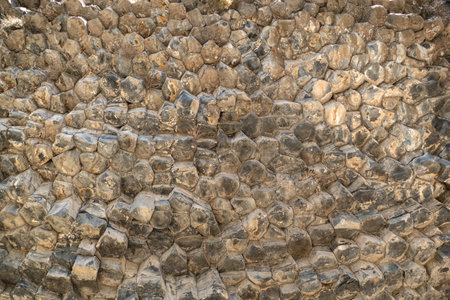 swallow birds nests on basalt rock columns in stony symphony canyon armenia