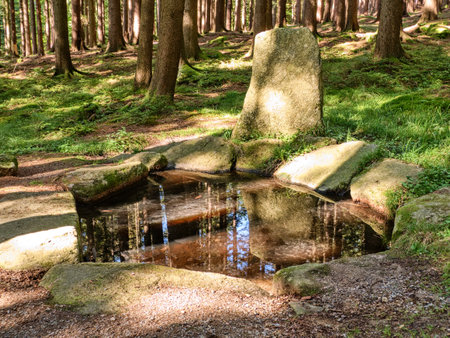 hiking in Czech forest nature in autumn seasonの写真素材