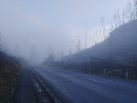beautiful nature of bohemian switzerland national park in europeの写真素材