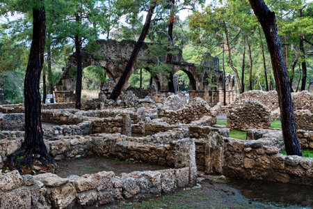 phaselis ancient archeological site in turkey kemer antalya