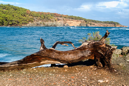 beautiful romantic Mediterranean sea shore in Turkeyの写真素材
