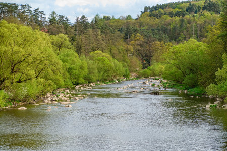 czech river sazava in central bohemia in europe
