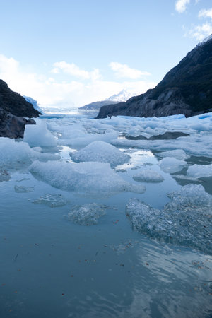 beautiful amazing patagonia nature in summer torres del paine