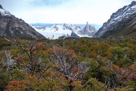 famous protected beautiful amazing patagonia nature in south americaの写真素材