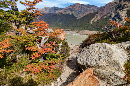 famous protected beautiful amazing patagonia nature in south americaの写真素材