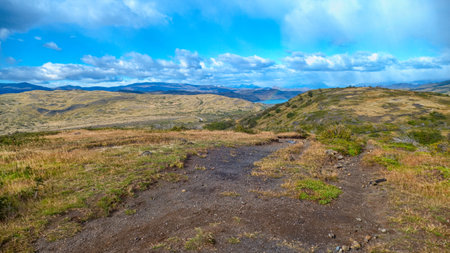 protected beautiful amazing patagonia nature in south americaの写真素材