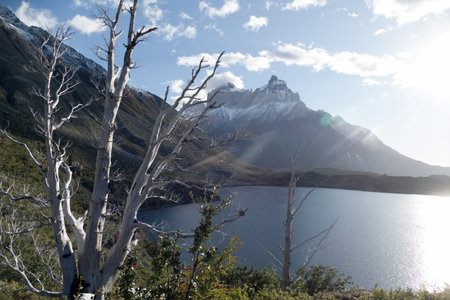 famous protected beautiful amazing patagonia nature in south americaの写真素材
