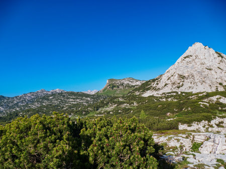 summer hiking adventure in totes gebirge austria alpsの写真素材