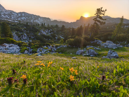 summer hiking adventure in totes gebirge austria alpsの写真素材