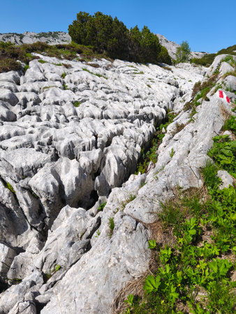 summer hiking adventure in totes gebirge austria alpsの写真素材