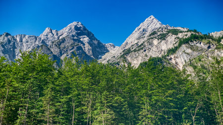 summer hiking adventure in totes gebirge austria alpsの写真素材