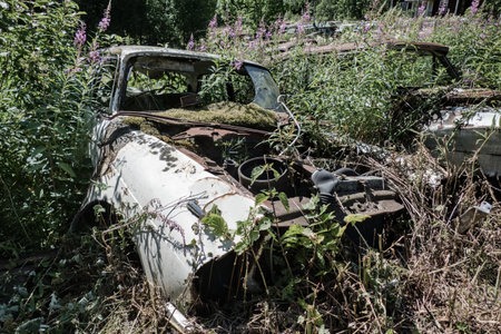 bastnas cemetery of cars in sweden border with norwayの写真素材
