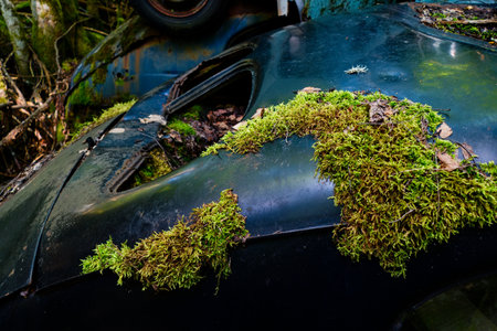 bastbas fanous cemetery of cars in sweden border with norwayの写真素材