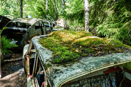 bastbas fanous cemetery of cars in sweden border with norwayの写真素材