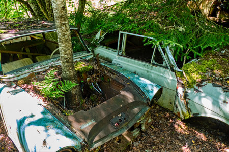 bastnas fanous cemetery of cars in sweden border with norwayの写真素材