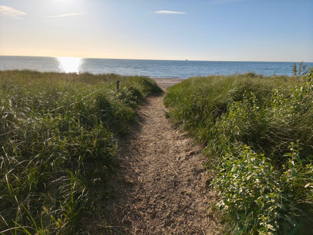 Hohe Dune Beach in Rostock Germany Europeの写真素材