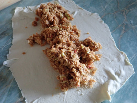 homemade baking of an apple strudel pie