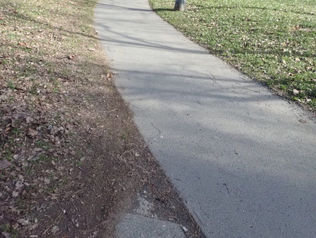 detail of paved park walkway with grass around