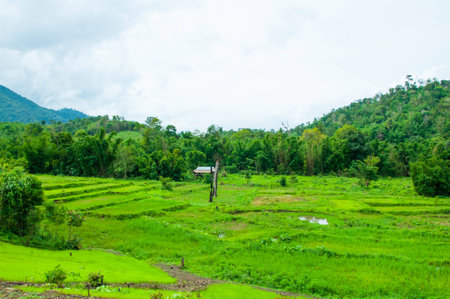 Nature road to the heart waterfall tak at thailandの写真素材