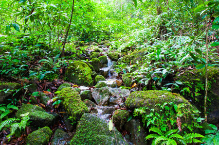Waterfall at thailandの写真素材