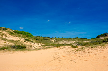'Falesias de beberibe' red cliffs in CearÃ¡ , Brazilの写真素材