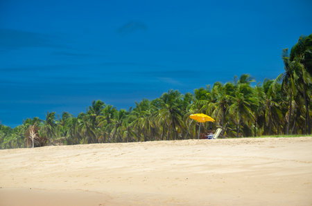 "Muro Alto" beach in Porto de Galinhas, Brazilの写真素材