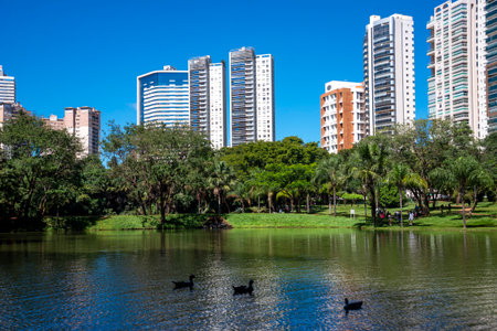 View of Flamboyant Park in Goiania, Brazil on a sunny day and some ducks in the lakeの写真素材