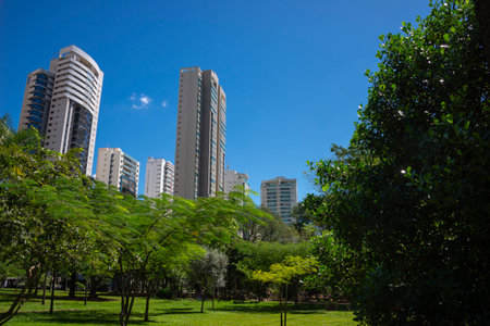 View of Flamboyant Park in Goiania, Brazil on a sunny day