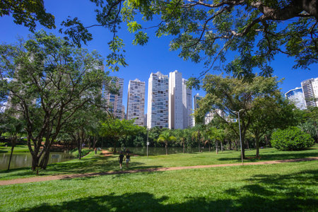 View of Flamboyant Park in Goiania, Brazil on a sunny dayの写真素材