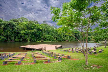 View of Botanical garden in Goiania, Brazilの写真素材