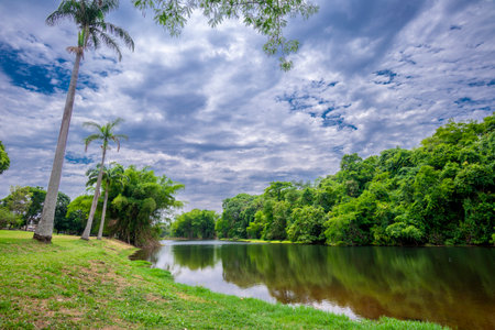 View of Botanical garden in Goiania, Brazilの写真素材