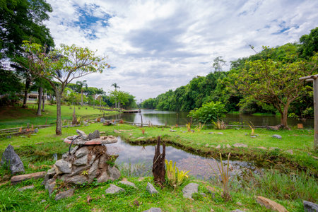 View of Botanical garden in Goiania, Brazilの写真素材
